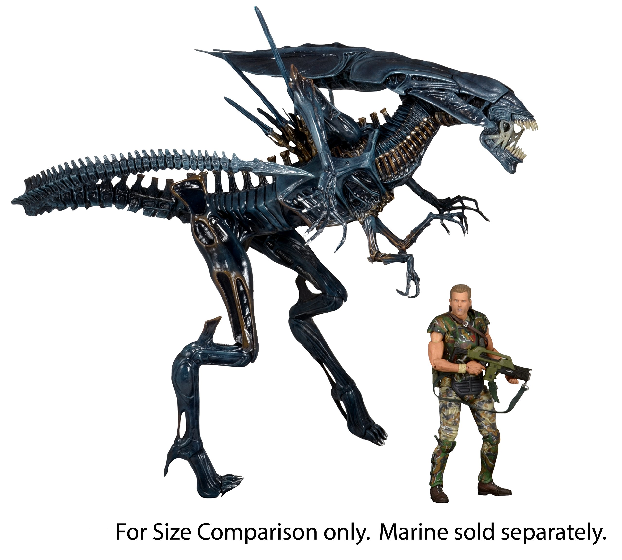 Hot Toys News and Rumors Discussion | Collector Freaks Collectibles Forum